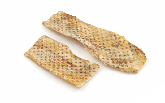Lanière de vessie de bœuf 10 po