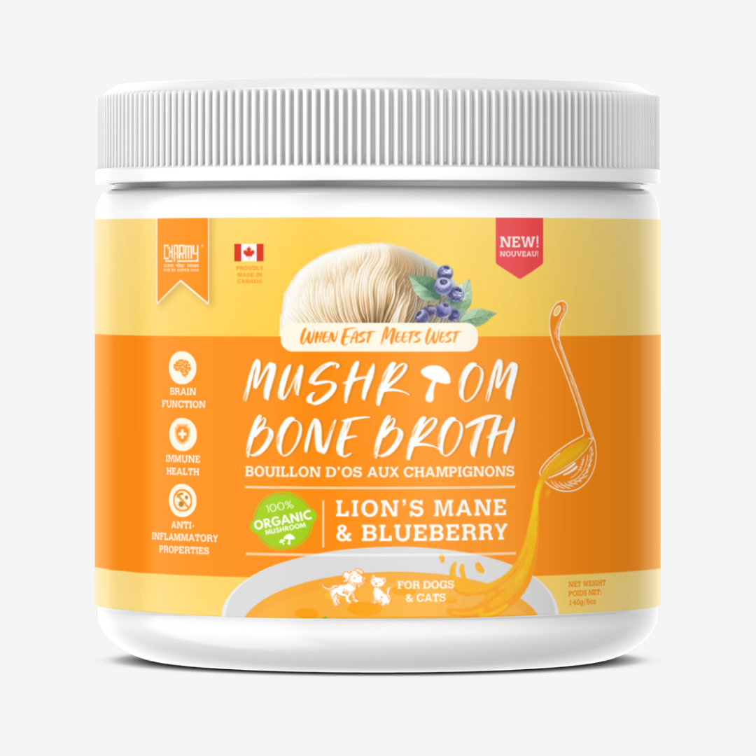 Bouillon d'os de crinière de lion et de champignon myrtille