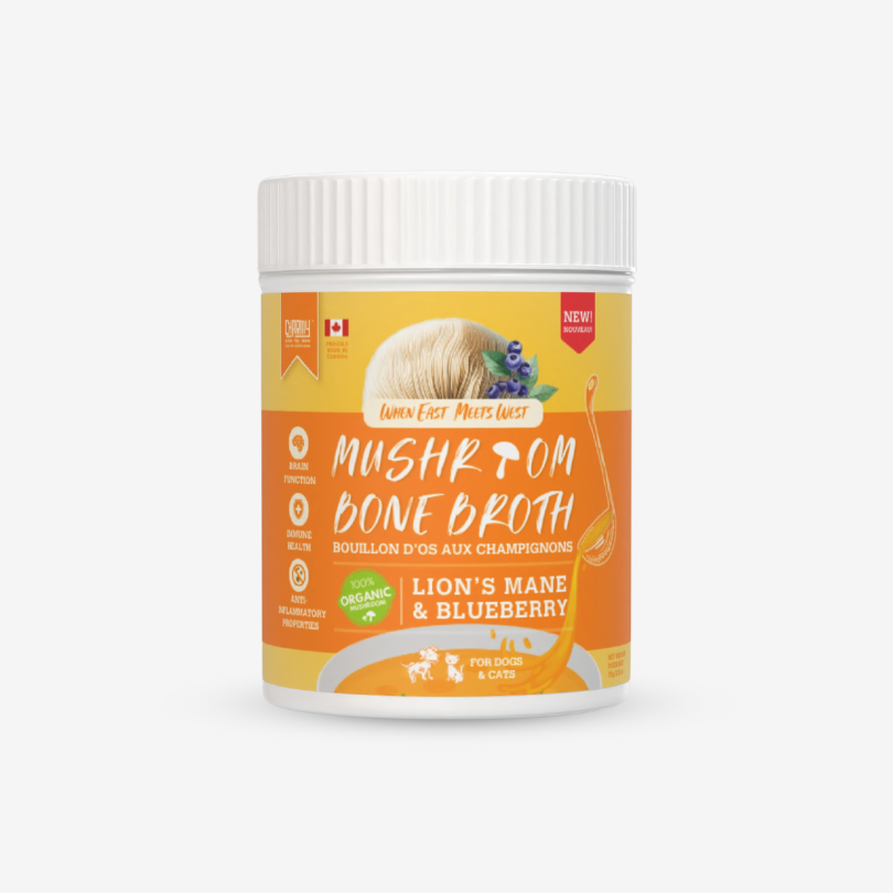 Bouillon d'os de crinière de lion et de champignon myrtille