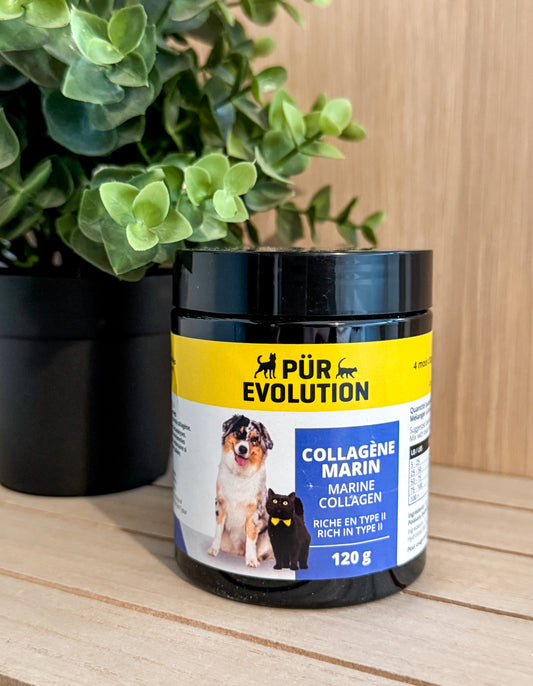 Collagène marin 120g - Pür évolution