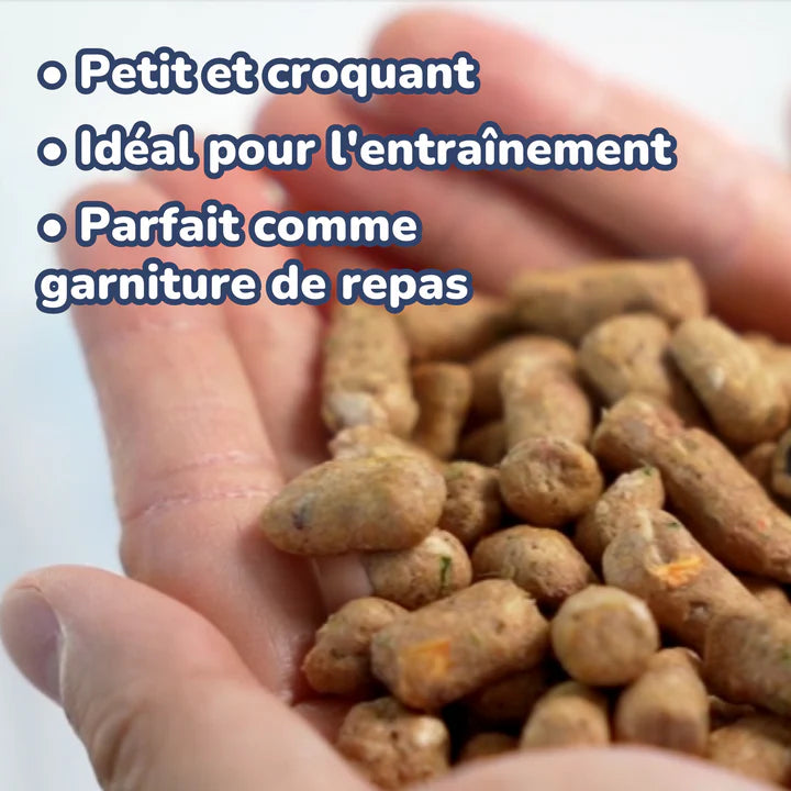 Bouchée de repas bœuf - Healthyud