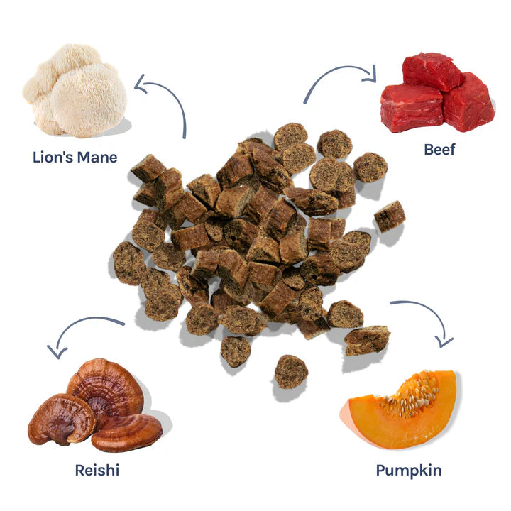 Mini gâteries d’entraînement au boeuf - Healthybud