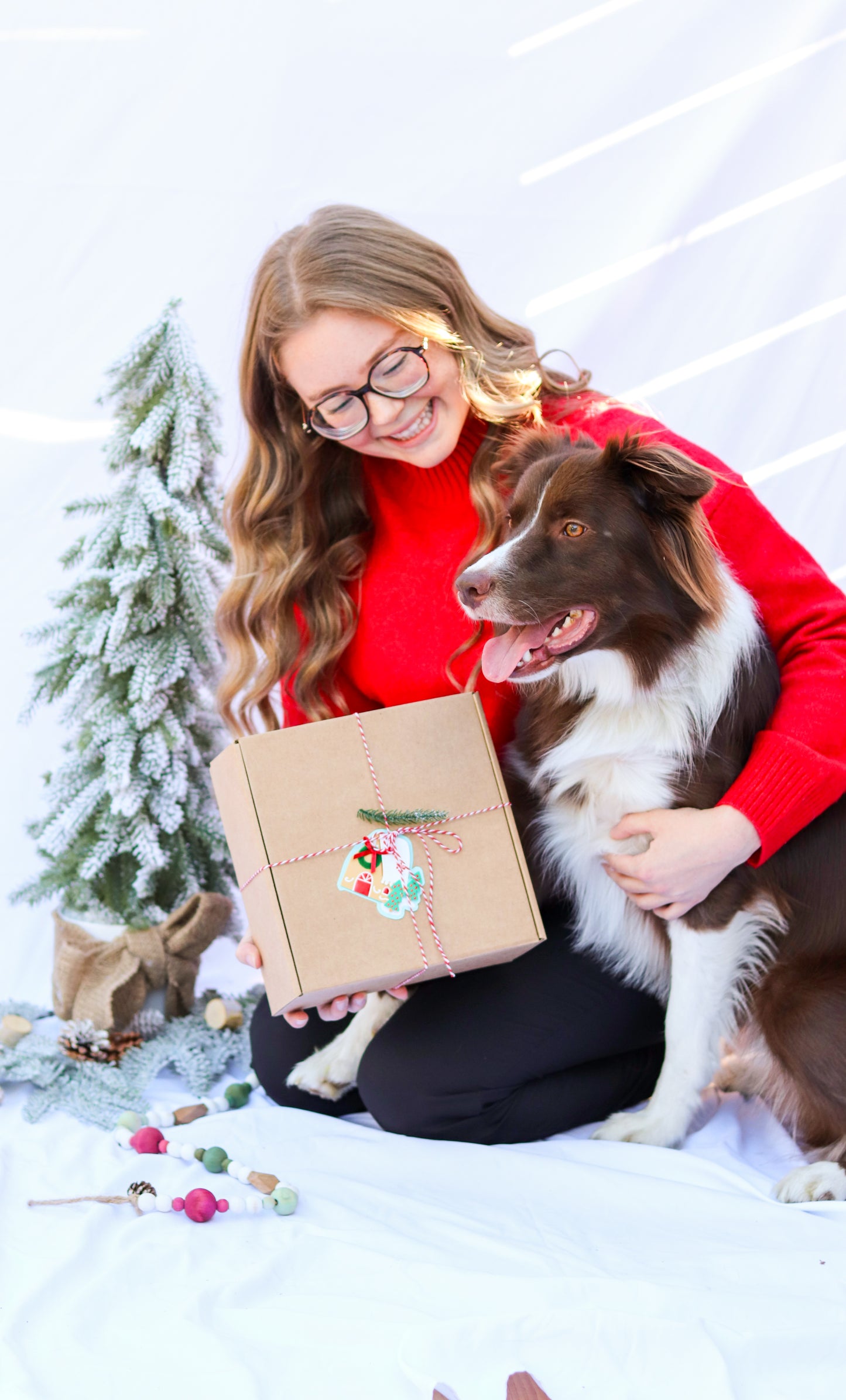 Calendrier de l'avent - Chien *PRÉVENTE: CET ARTICLE DOIT ÊTRE COMMANDÉ SÉPARÉMENT DES AUTRES PRODUITS*