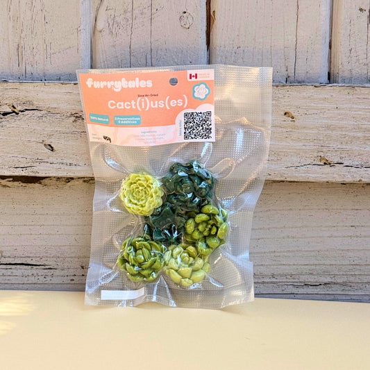 Cactus au lait de chèvre
