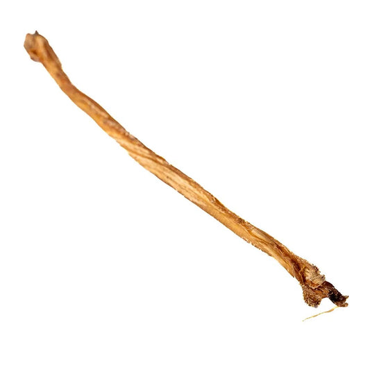 Pizzle d'agneau