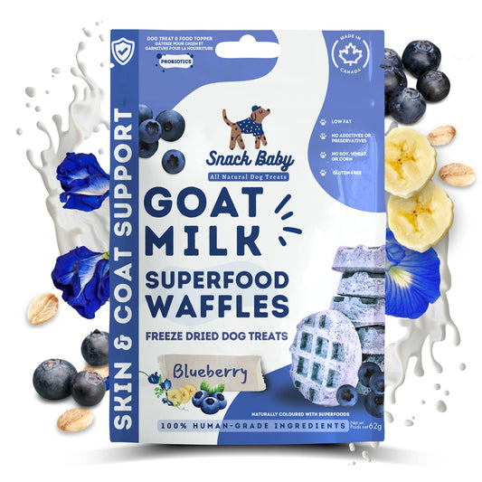 Gaufrettes lyophilisées au lait de chèvre - Bleuets