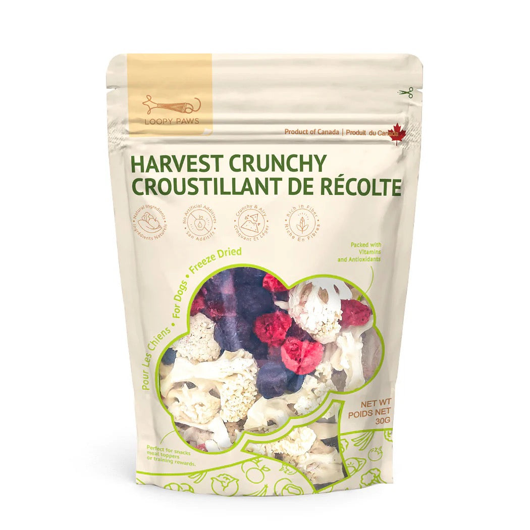 Mélange de chou-fleur et fruit lyophilisé