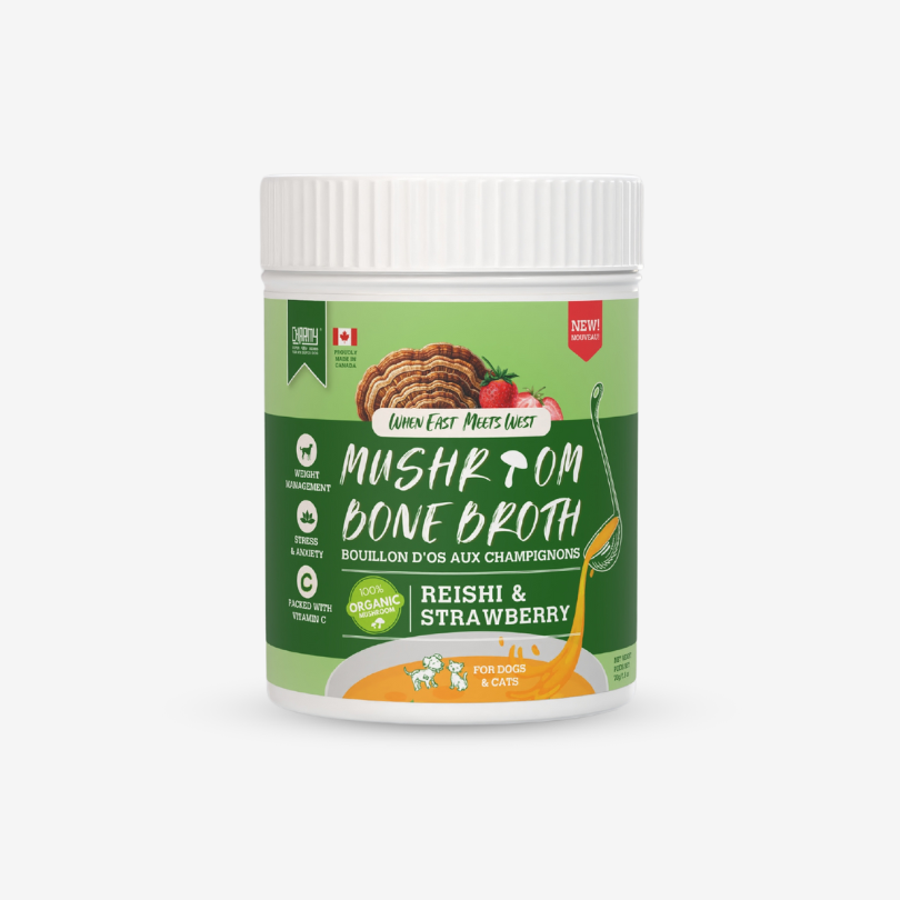 Bouillon d'os aux champignons Reishi et fraise