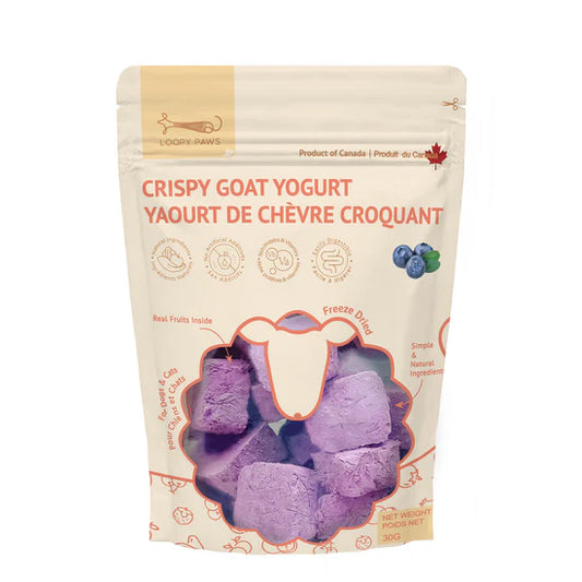Bouchées de yogourt de chèvre - Bleuet