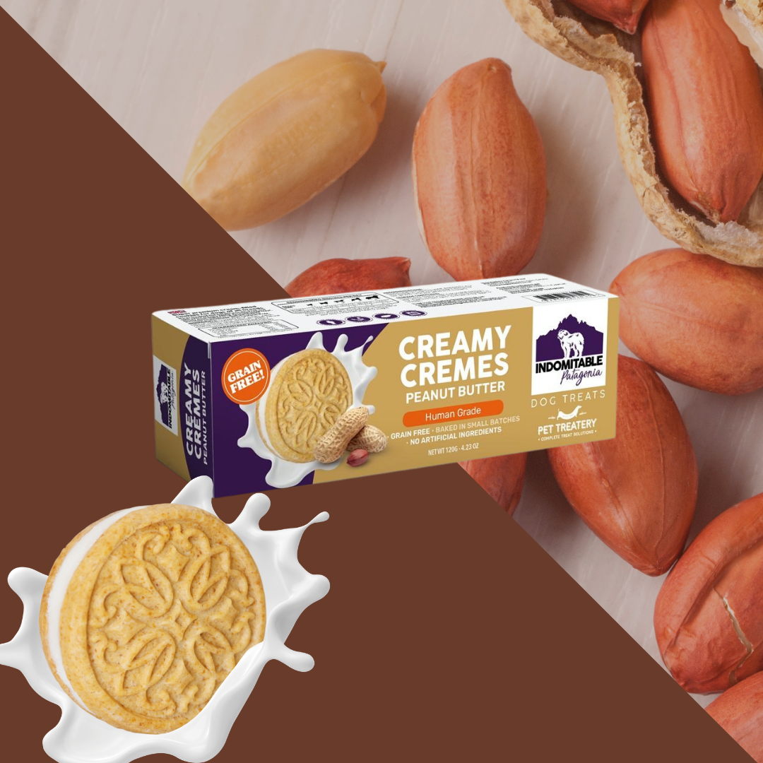 Biscuits pour chiens | Beurre d'arachide