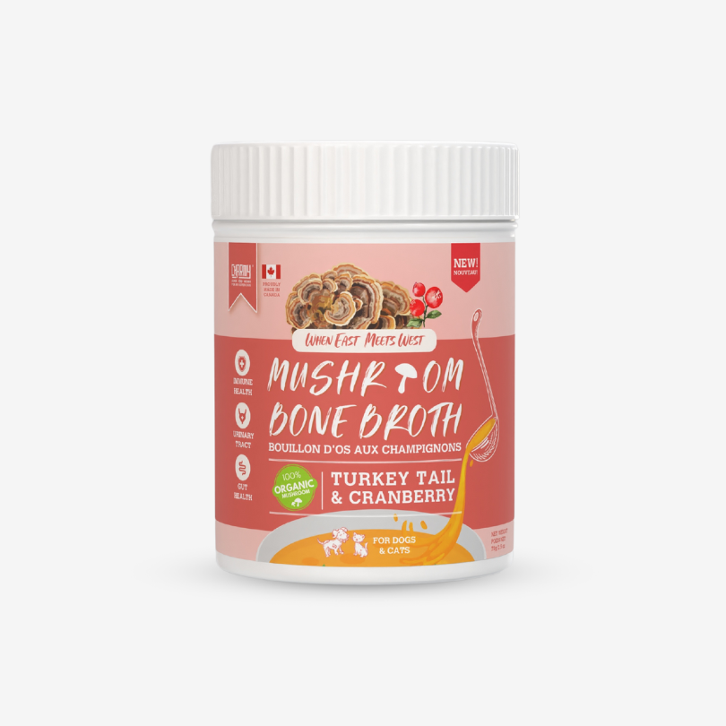 Bouillon d'os aux champignons queue de dinde et canneberge