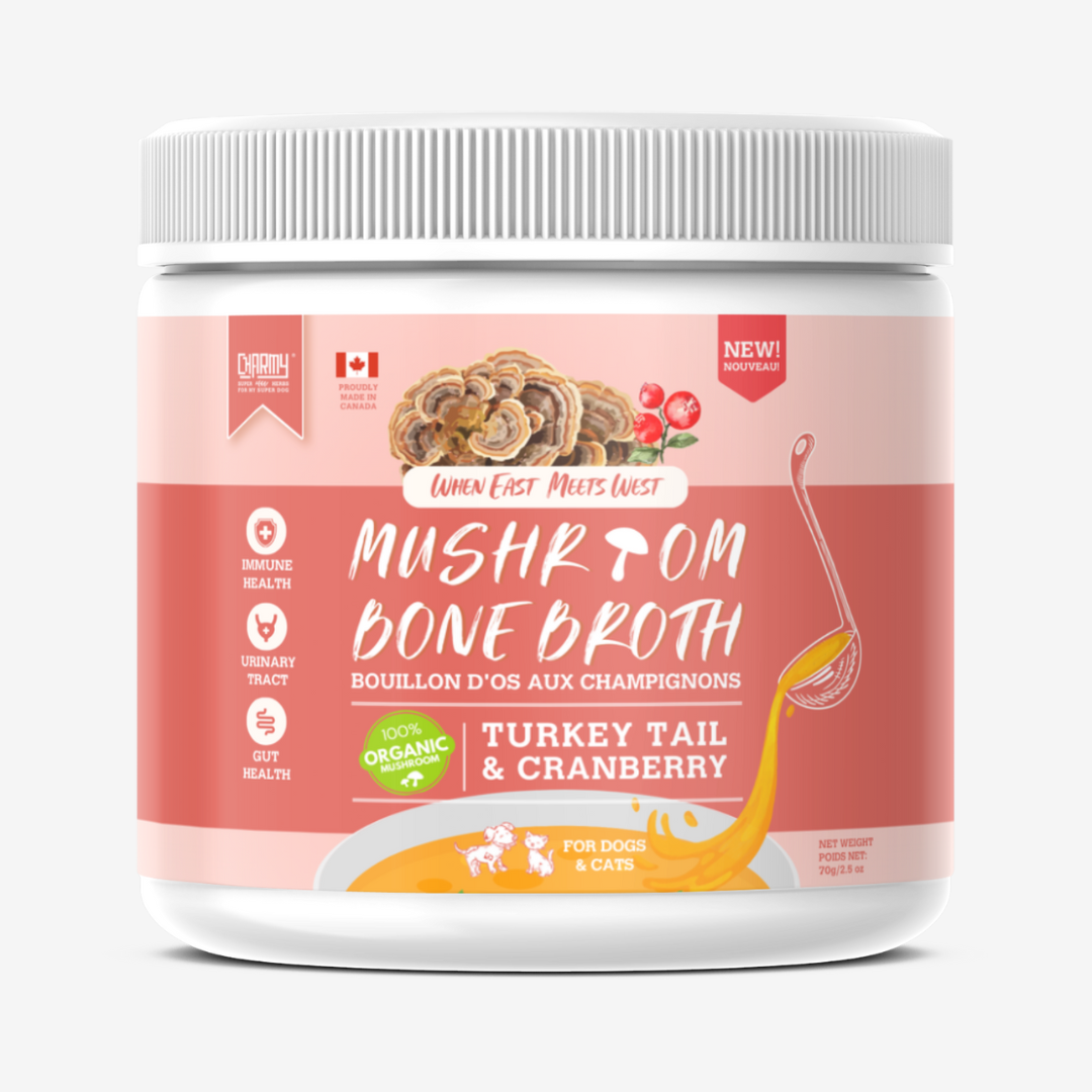 Bouillon d'os aux champignons queue de dinde et canneberge