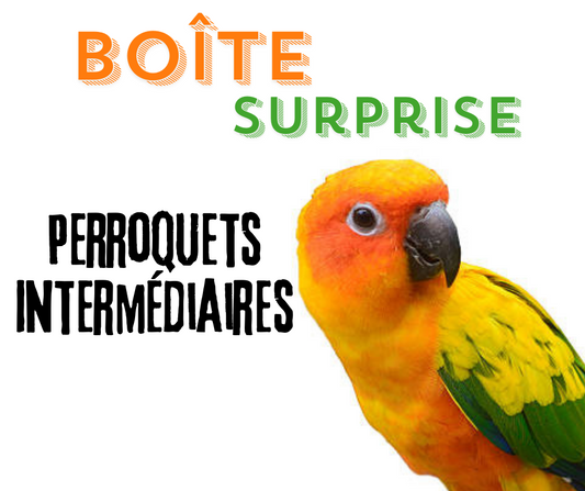 Boîte surprise - Perroquets intermédiaires