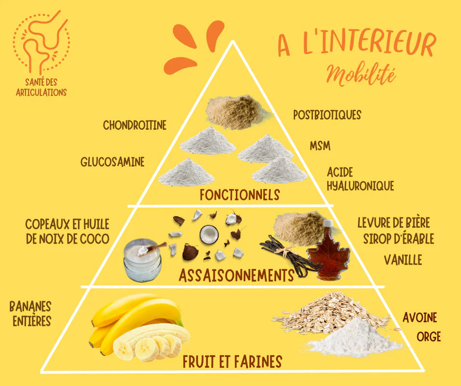 Gâterie d'entraînement - Bananes & noix de coco