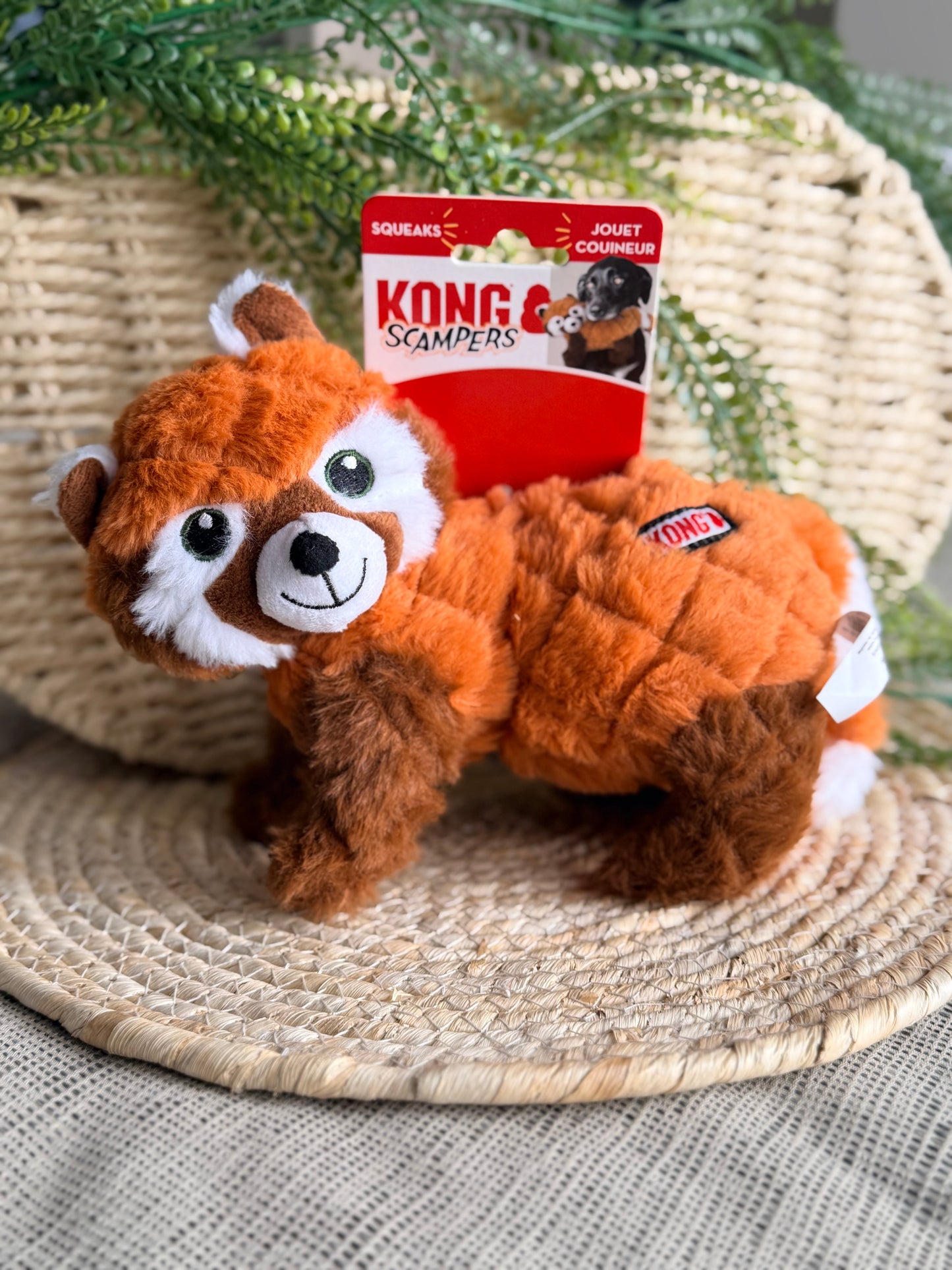 Panda roux Scampers | Kong