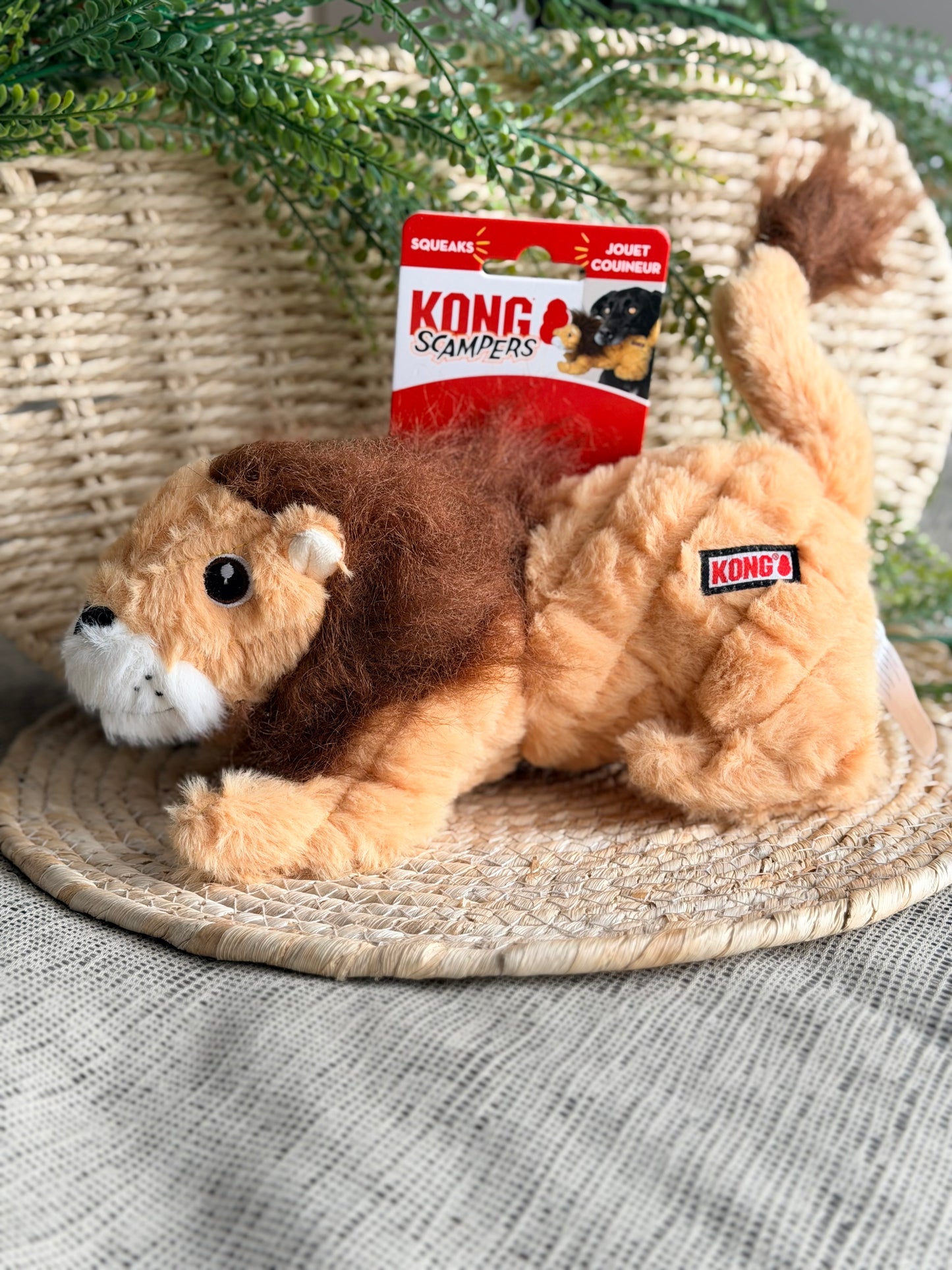 Lion Scampers | Kong