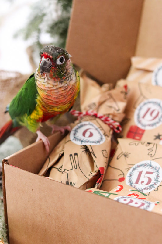 Calendrier de l'avent - Perroquet et rongeur *PRÉVENTE: CET ARTICLE DOIT ÊTRE COMMANDÉ SÉPARÉMENT DES AUTRES PRODUITS*