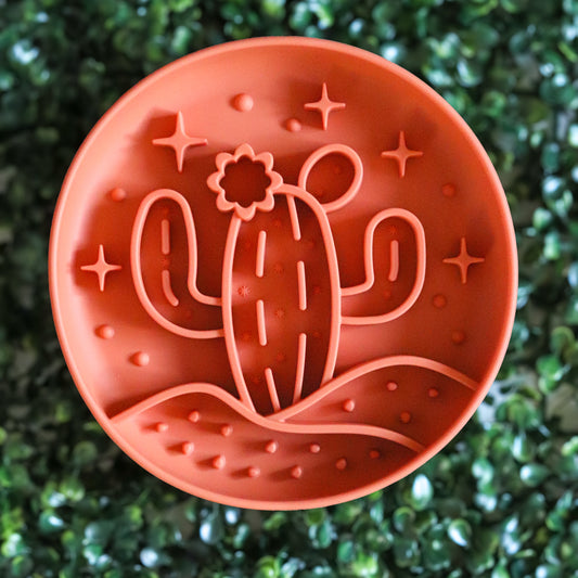 Bol ralentisseur - Cactus citrouille