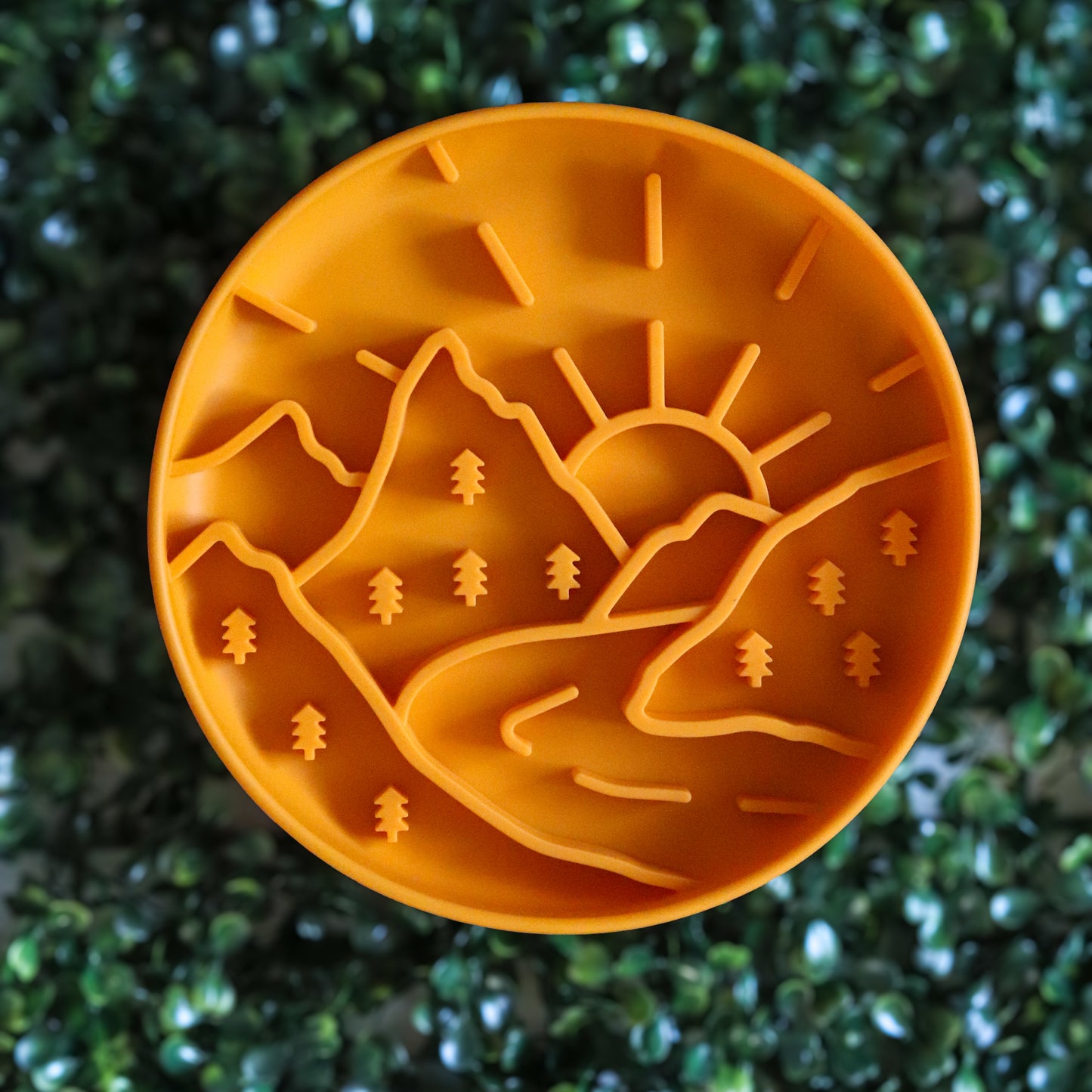 Bol ralentisseur - Aventure