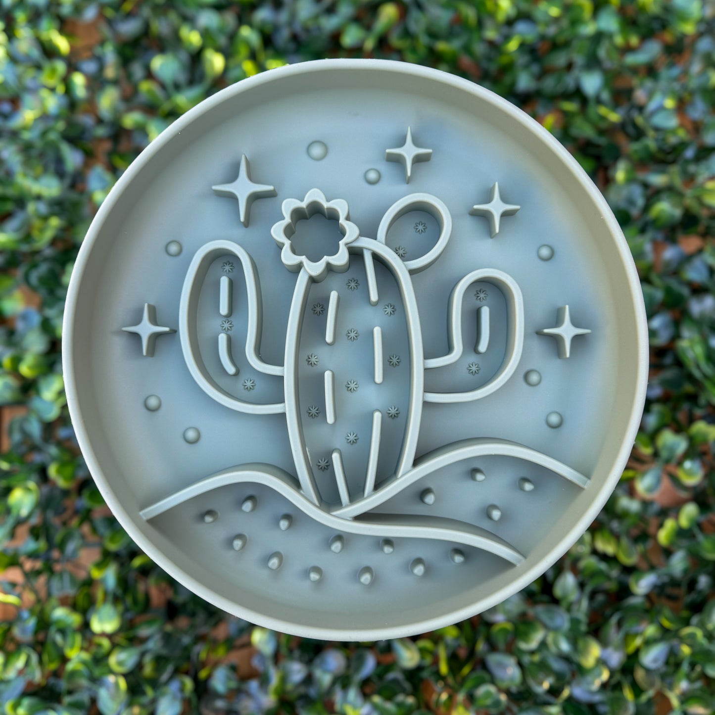 Bol ralentisseur - Cactus sauge