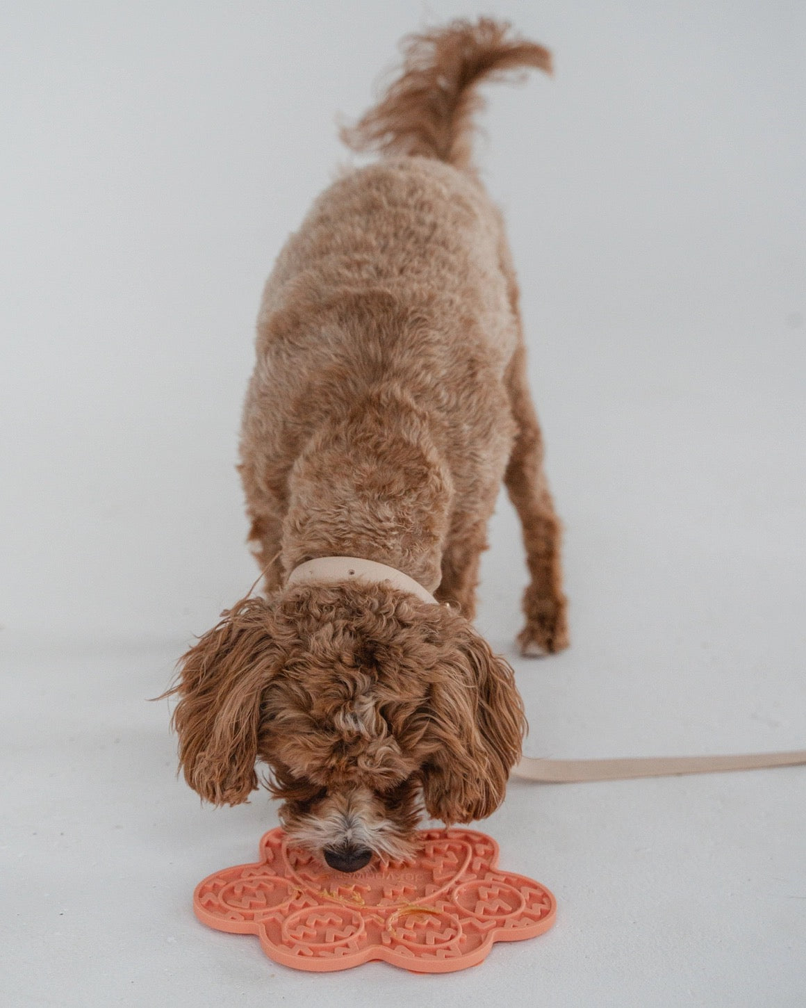 Tapis de léchage - Patte corail