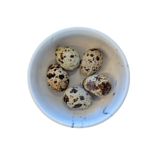 Oeuf de caille lyophilisé
