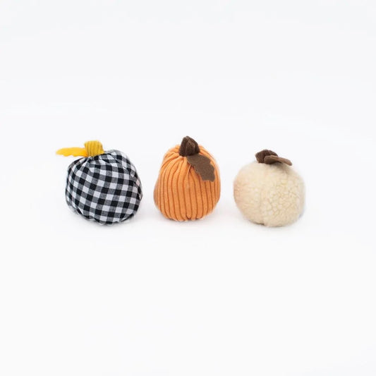 Trio mini citrouilles