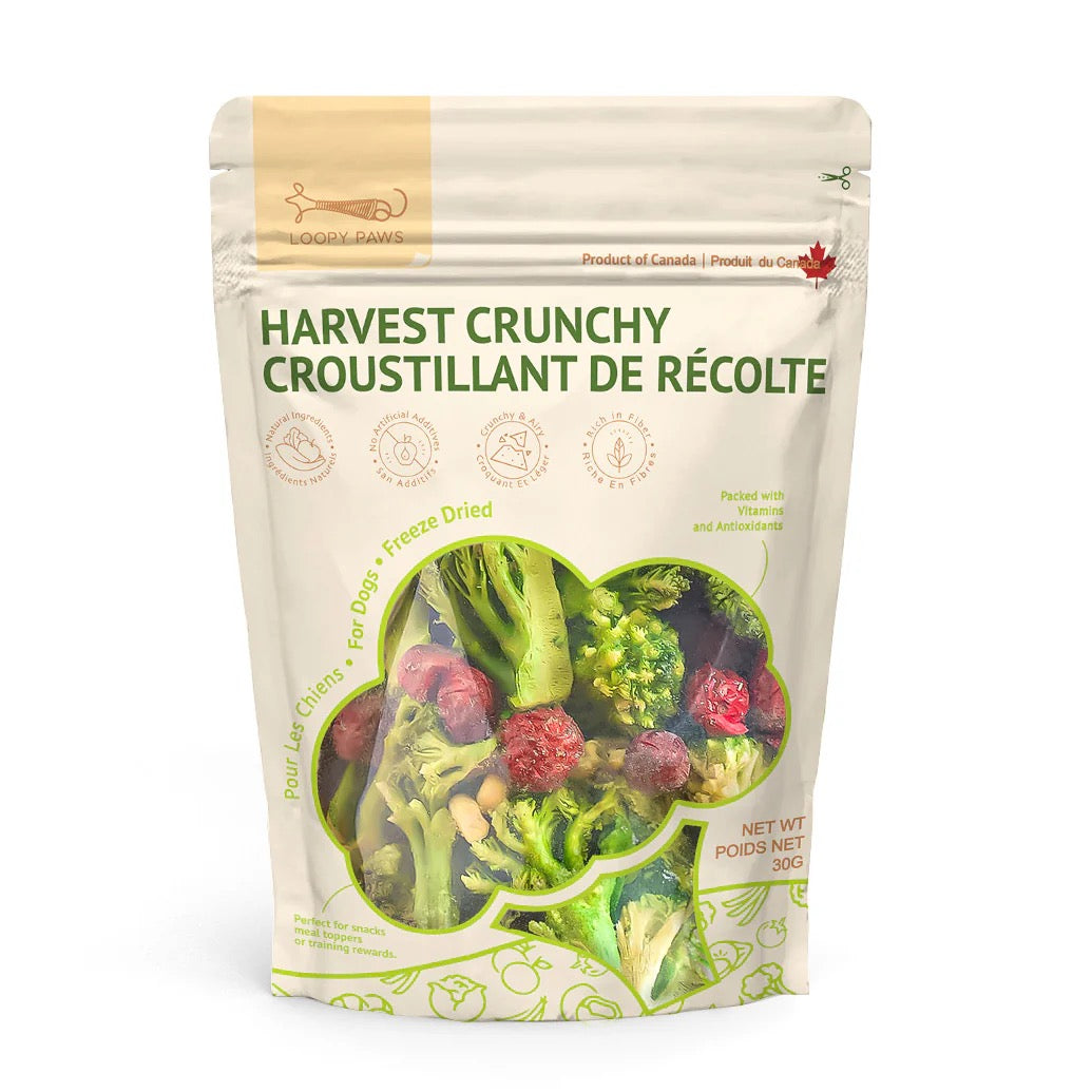 Mélange de brocolis et fruits lyophilisé