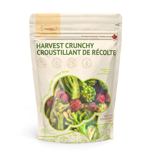 Mélange de brocolis et fruits lyophilisé