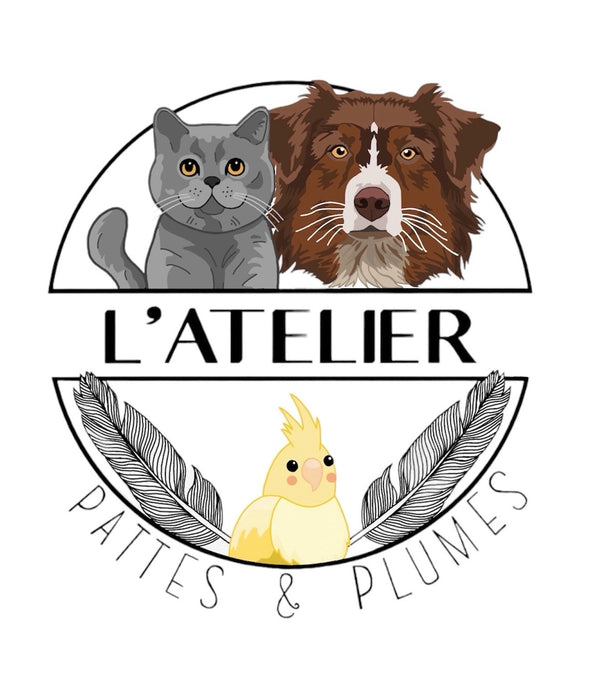 L'atelier pattes & plumes