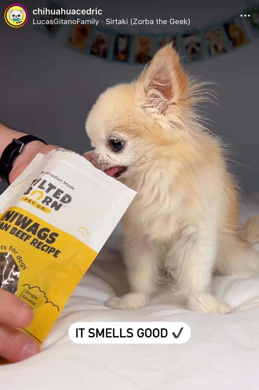 Friandises au bœuf - Miniwags